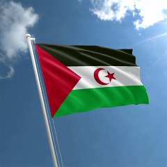 Flag of West Sahara. West Sahara Flag. Bendera Sahara Barat. Flag of Western Sahara. Western Sahara Flag. Bendera Arab Sahrawi. Flag of Sahrawi Arab. Sahrawi Arab Flag. Flag of Sahrawi Arab Demokratic Republic. Bendera Republik Arab Sahrawi