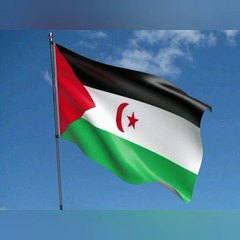 Flag of West Sahara. West Sahara Flag. Bendera Sahara Barat. Flag of Western Sahara. Western Sahara Flag. Bendera Arab Sahrawi. Flag of Sahrawi Arab. Sahrawi Arab Flag. Flag of Sahrawi Arab Demokratic Republic. Bendera Republik Arab Sahrawi