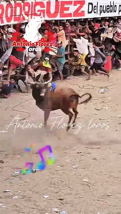 ,,,,,,Ox,,,,,dance,,,,,