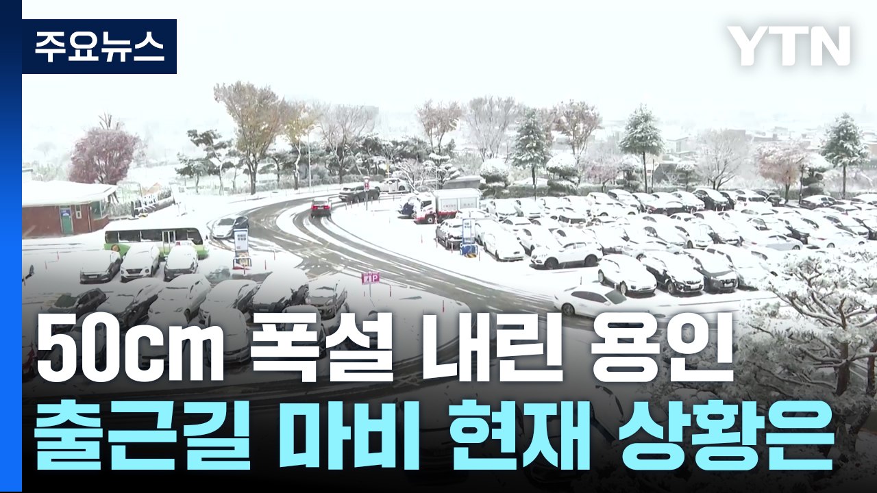 용인 50cm 폭설...차량 고립 출근길 마비·휴업까지 / YTN