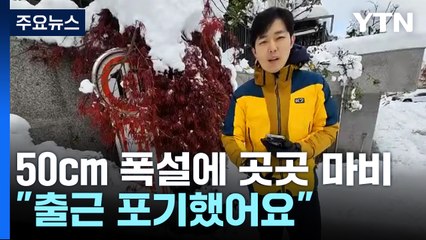 용인 50cm 폭설에 곳곳 마비..."출근 포기했어요" / YTN