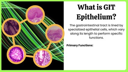 Types of Epithelium in the Gastrointestinal Tract (GIT) | Complete Overview