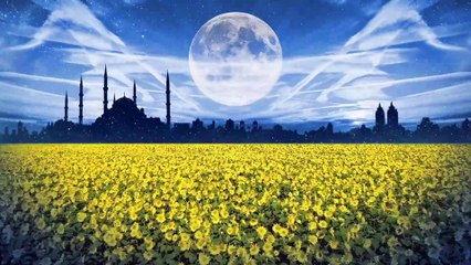 اجمل تلاوة على وجه الأرض تبكي العين وتهز القلب