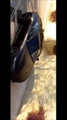 JAGUARS LIKE THAT ONE IS THE ONLY ONE WHO CAN DO