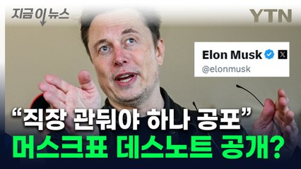 머스크가 올린 살벌한 실명...공무원들 "표적 될까 공포" [지금이뉴스]  / YTN