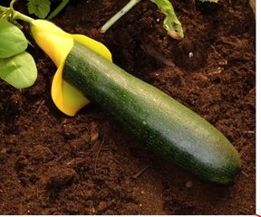 Unlock new possibilities for your garden!