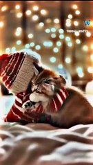 Baby_smile_😊🥰😘_._._Follow_For_Me_💙__._._._#features_#feelings_#trending_#viralvideos_#viral_#couplelove_#couplesgoals_#trendingsongs_#instagood_#i