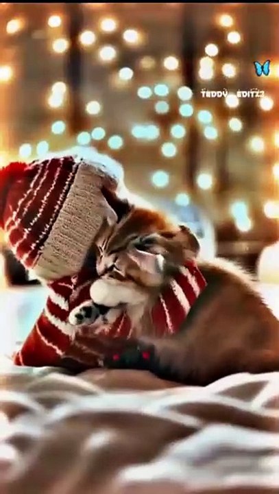 Baby_smile_😊🥰😘_._._Follow_For_Me_💙__._._._#features_#feelings_#trending_#viralvideos_#viral_#couplelove_#couplesgoals_#trendingsongs_#instagood_#i