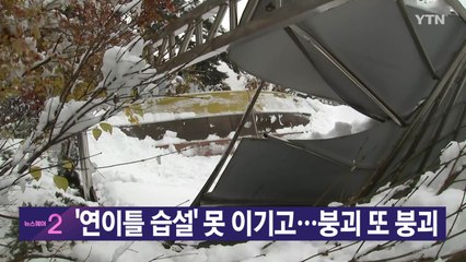 [YTN 실시간뉴스] '연이틀 습설' 못 이기고...붕괴 또 붕괴 / YTN
