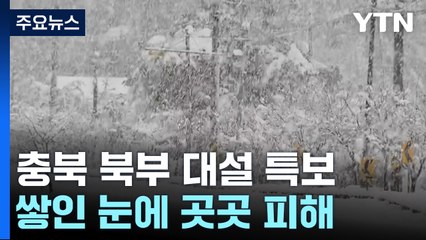 충북 북부 대설 특보...종일 쌓인 눈에 곳곳 피해 / YTN