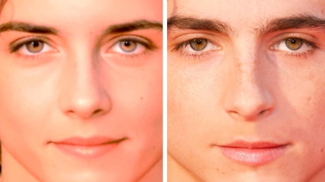 Optical Illusions That Feel Like Real Magic