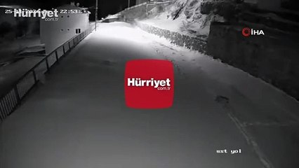 Gümüşhane'de bir köyde sabah kurt, gece vaşak görüntülendi