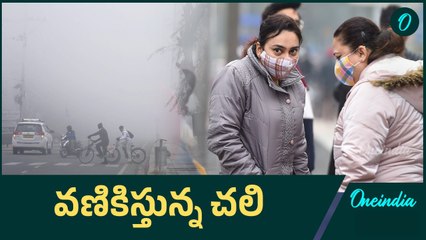 రాష్ట్రంలో భారీగా పడిపోయిన ఉష్ణోగ్రతలు | Oneindia Telugu