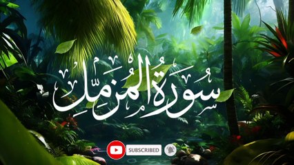 Most heart touching Quran recitation of surah Al Muzammil
