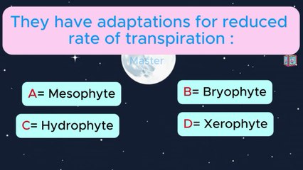 MCQ Pro: Sharpen Your Skills