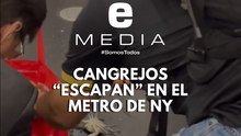 Pasajeros del Metro ayudan a recoger cangrejos vivos