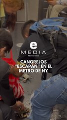 Pasajeros del Metro ayudan a recoger cangrejos vivos