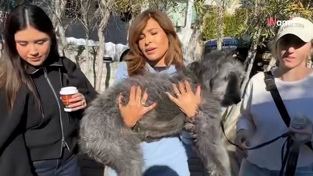 Surprise, Eva Mendes et Ryan Gosling présentent le nouveau membre de leur famille
