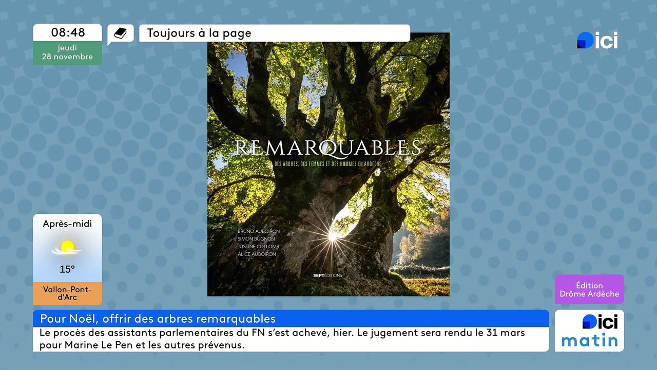 Une belle idée cadeau pour les amoureux des arbres