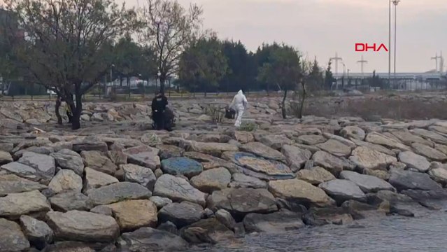 İstanbul'da sahilde 2 ceset bulundu