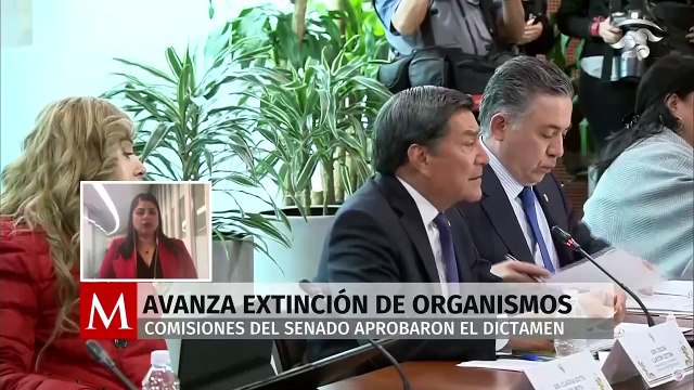 Senadores aprueban la extinción de órganos autónomos. Pedro Gamboa, 27 de noviembre 2024
