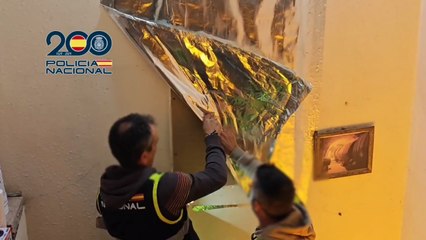 Vídeo | Así fue la desarticulación de una banda criminal que utilizaba casas rurales para cultivar marihuana