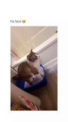 No thoughts behind those eyes