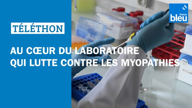 Téléthon 2024 : au cœur du laboratoire Généthon, à l'origine de résultats incroyables contre les myopathies