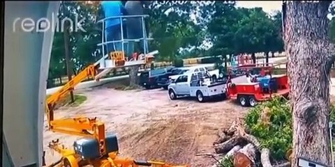 Angry bees attack the workmen (video)