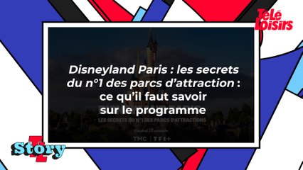 Disneyland Paris : les secrets du n°1 des parcs d’attraction : ce qu'il faut savoir sur le programme