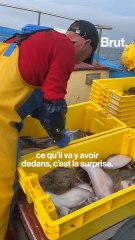 Son métier : marin pêcheur
