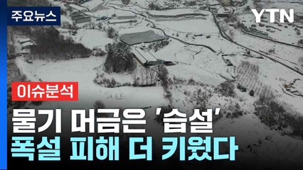 물기 머금은 '습설' 폭설 피해 더 키웠다...위험 얼마나? / YTN