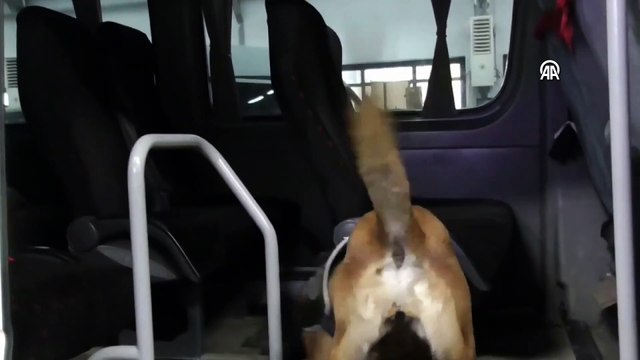 Van'da nefes kesen operasyon