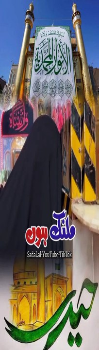 InShot_20241127_160927654