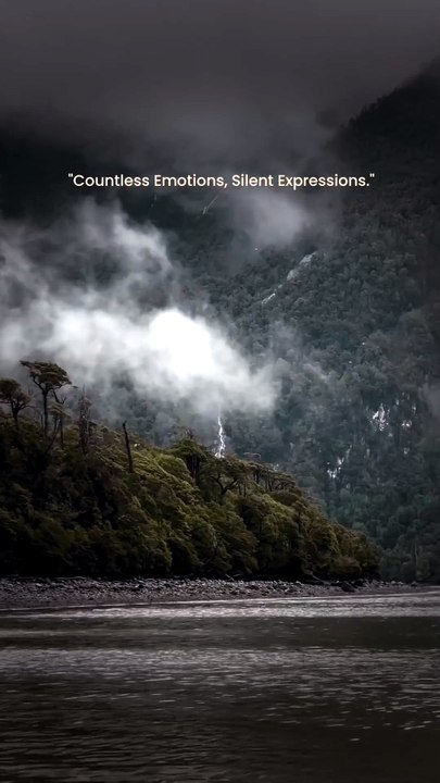 "Countless Emotions, Silent Expressions.
