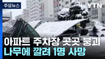 아파트 주차장 곳곳 붕괴...나무에 깔려 1명 사망 / YTN