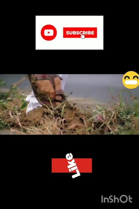 new comedy
