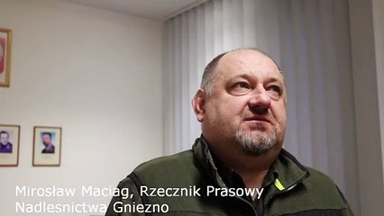 Nowy las dopiero za dwa lata. Dlaczego?