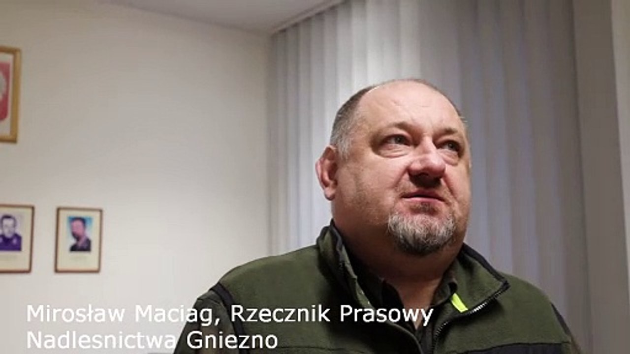 Nowy las dopiero za dwa lata. Dlaczego?