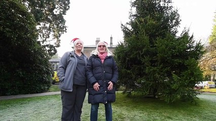 Staff at Compton Care, Wolverhampton promote their treecycling fundraising initiative.