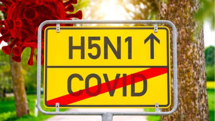 Vogelgrippe: Erstmals Infektion bei Kindern und gefährliche Mutation in Kanada entdeckt