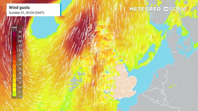 Cold and foggy for the final few days of autumn but turning wet and windy as we head into meteorological winter.