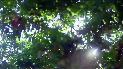 Be Loved in a House. I Do! (tw BL) EP.4 eng sub