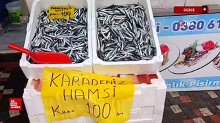 Karadeniz'den tonlarca hamsi çıktı