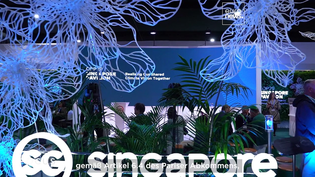 Baku COP29: Klimakonferenz endet mit 300-Milliarden-Dollar-Deal und Forderungen nach mehr Maßnahmen