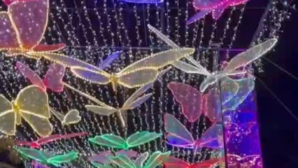 Un vídeo de cómo es el Festival de las Linternas.