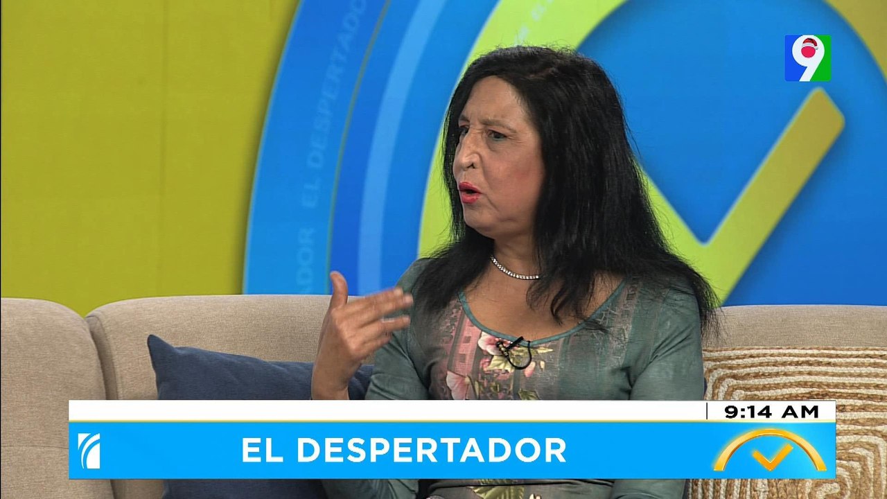 Margarita Rodríguez de INTRANT desmiente a Antonio Marte sobre parada de motores | El Despertador