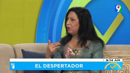 Margarita Rodríguez de INTRANT desmiente a Antonio Marte sobre parada de motores | El Despertador