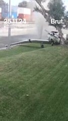 Un avion de tourisme atterrit sur une route et percute un arbre