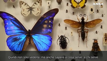 A Palazzo Esposizioni la mostra "L'elogio della biodiversita'"
